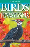 Birds of Pennsylvania  cover art