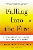 Falling into the Fire A Psychiatrist's Encounters with the Mind in Crisis cover art