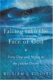 Falling into the Face of God Forty Days and Nights in the Judean Desert 2006 9780849900716 Front Cover