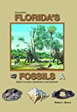 Florida&#39;s Fossils 