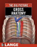 Gross Anatomy: the Big Picture  cover art