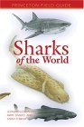 Sharks of the World  cover art