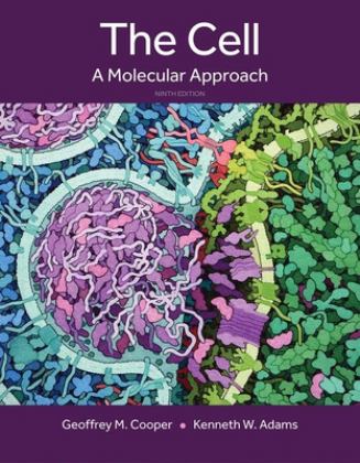 Cell A Molecular Approach 9th 9780197583722 Front Cover