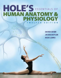 Hole's Essentials of Human Anatomy and Physiology  cover art