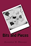 Bits and Pieces 2013 9781491006726 Front Cover