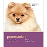Pomeranian Understanding and Caring for Your Dog 2013 9781906305727 Front Cover