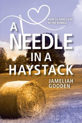 Needle in a Haystack How to Find Love in the Rubble  9781954614727 Front Cover