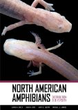 North American Amphibians Distribution and Diversity  9780520266728 Front Cover