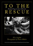 To the Rescue Found Dogs with a Mission 2009 9781602397729 Front Cover