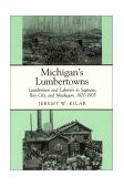 Michigan's Lumbertowns Lumbermen and Laborers in Saginaw, Bay City and Muskegon, 1870-1905 cover art