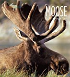 Living Wild - Moose 2010 9781583419731 Front Cover