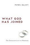 What God Has Joined The Sacramentality of Marriage cover art