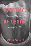 Pathways of Desire The Sexual Migration of Mexican Gay Men  9780226517735 Front Cover