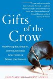 Gift of the Crow How Perception, Emotion, and Thought Allow Smart Birds to Behave Like Humans cover art