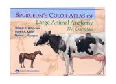 Spurgeon's Color Atlas of Large Animal Anatomy The Essentials cover art