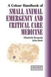 Small Animal Emergency and Critical Care Medicine  9781840760736 Front Cover