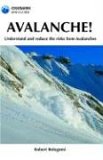Avalanche! A Pocket Guide to Understanding and Reducing Risks from Avalanches 2007 9781852844738 Front Cover
