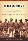 Black and Brown African Americans and the Mexican Revolution, 1910-1920  9780814736739 Front Cover