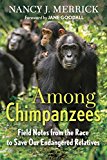 Among Chimpanzees Field Notes from the Race to Save Our Endangered Relatives 2015 9780807080740 Front Cover