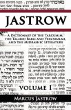 Dictionary of the Targumim, the Talmud Babli and Yerushalmi, and the Midrashic Literature 2007 9789562914741 Front Cover