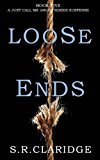 Loose Ends 2013 9780989846745 Front Cover