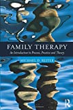 Family Therapy An Introduction to Process, Practice and Theory  9781138086746 Front Cover