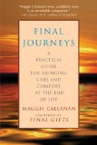 Final Journeys A Practical Guide for Bringing Care and Comfort at the End of Life cover art
