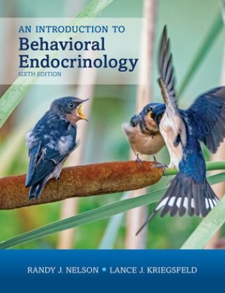 Introduction to Behavioral Endocrinology, Sixth Edition 6th 9780197542750 Front Cover
