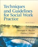 Techniques and Guidelines for Social Work Practice  cover art