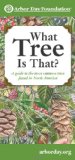 What Tree Is That? : A Guide to the More Common Trees of North America