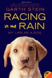 Racing in the Rain My Life as a Dog cover art