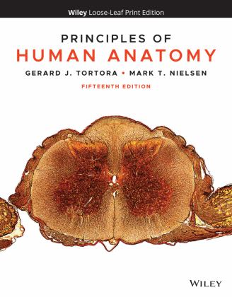 Principles of Human Anatomy 15th 9781119662761 Front Cover