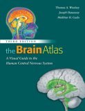 Brain Atlas A Visual Guide to the Human Central Nervous System cover art