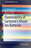 Flammability of Cartoned Lithium Ion Batteries 2014 9781493910762 Front Cover