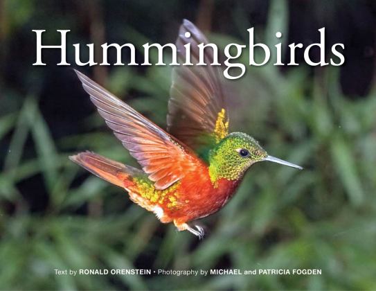 Hummingbirds 2018 9780228100768 Front Cover