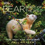 Bear Spirit of the Wild 2013 9781426211768 Front Cover