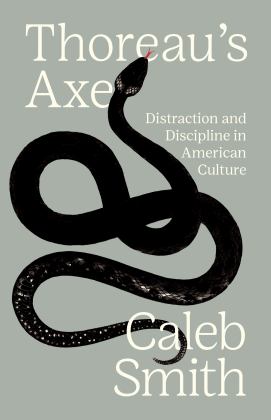 Thoreau's Axe Distraction and Discipline in American Culture  9780691214771 Front Cover