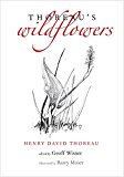 Thoreau's Wildflowers  9780300214772 Front Cover