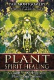 Plant Spirit Healing A Guide to Working with Plant Consciousness 2008 9781591430773 Front Cover