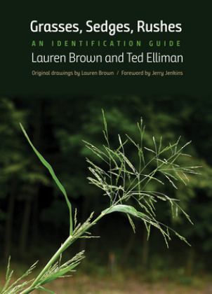 Grasses, Sedges, Rushes An Identification Guide  9780300236774 Front Cover