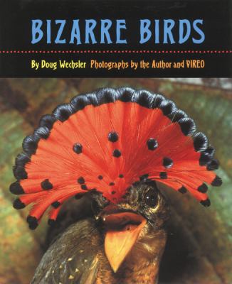 Bizarre Birds 2003 9781590782774 Front Cover