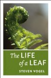 Life of a Leaf 
