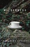 Wilderness A Novel cover art