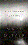 Thousand Mornings  cover art