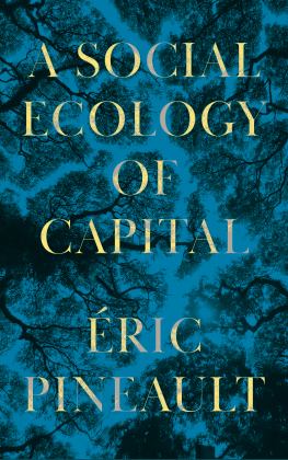 Social Ecology of Capital  9780745343778 Front Cover