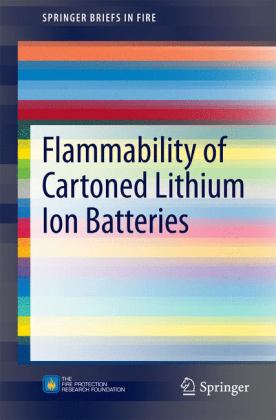 Flammability of Cartoned Lithium Ion Batteries 2014 9781493910779 Front Cover