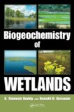 Biogeochemistry of Wetlands Science and Applications cover art