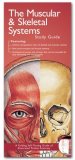 Anatomical Chart Company's Illustrated Pocket Anatomy: the Muscular and Skeletal Systems Study Guide  cover art