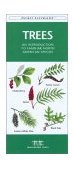 Trees A Folding Pocket Guide to Familiar North American Species  9781583551783 Front Cover