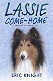 Lassie Come-Home Illustrated by Gary Blythe  9781847495785 Front Cover